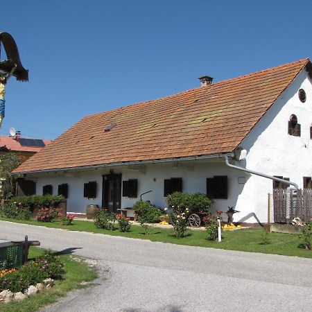 Homestay Kapl Ledinek Exteriér fotografie