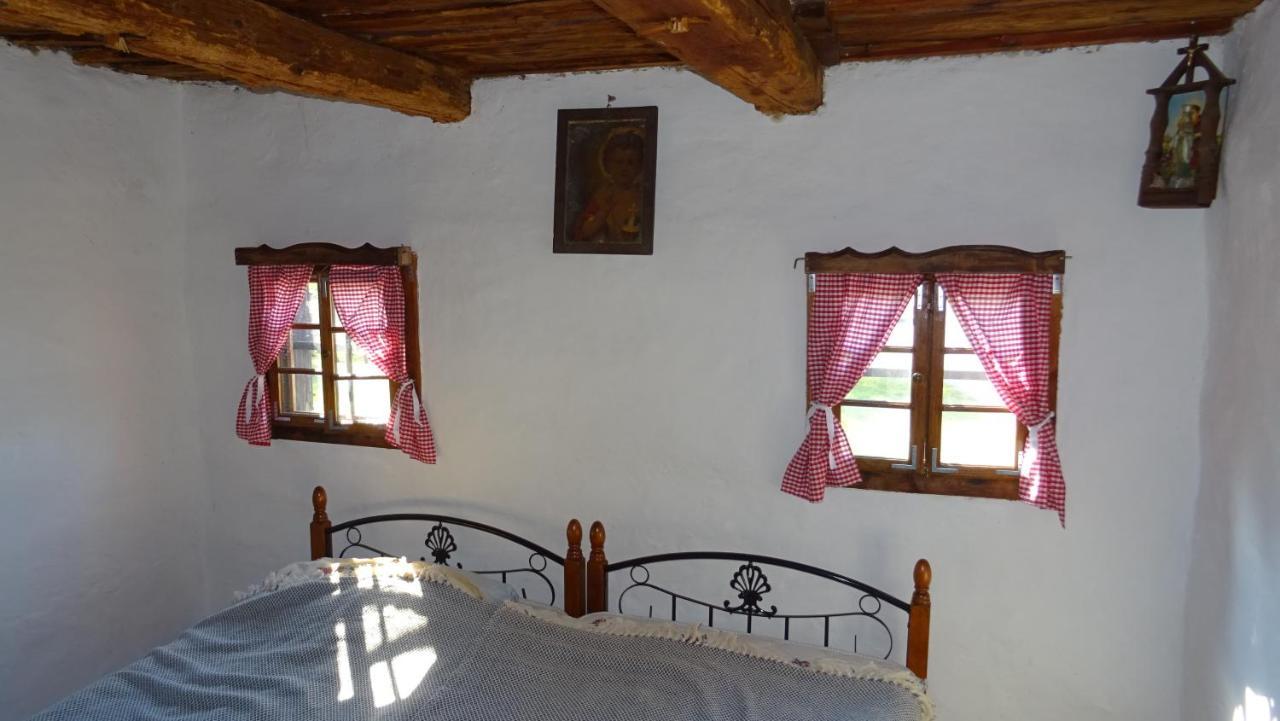 Homestay Kapl Ledinek Exteriér fotografie