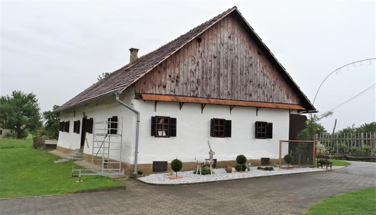 Homestay Kapl Ledinek Exteriér fotografie