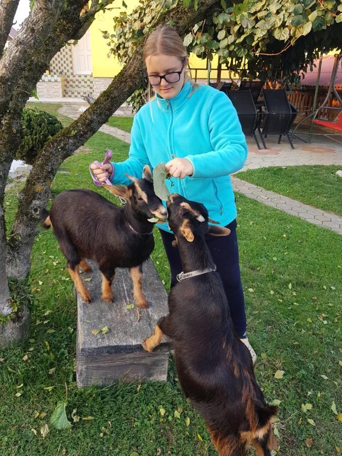 Homestay Kapl Ledinek Exteriér fotografie