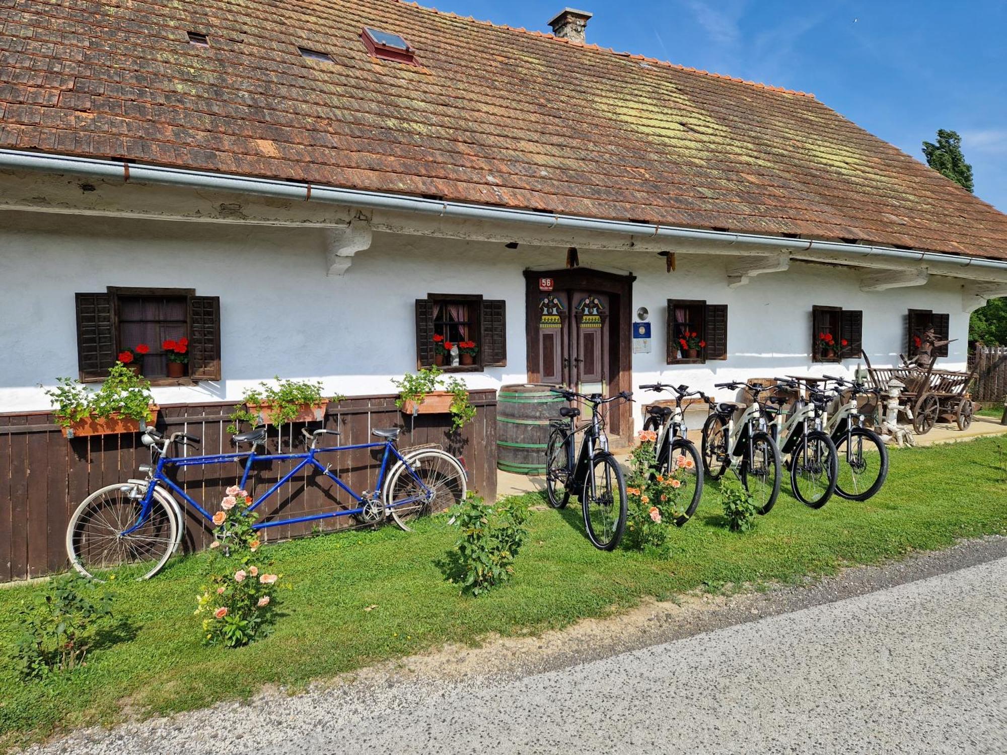 Homestay Kapl Ledinek Exteriér fotografie