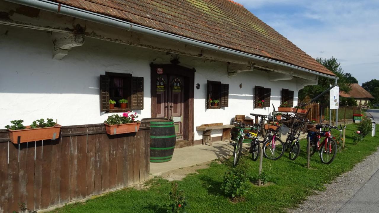 Homestay Kapl Ledinek Exteriér fotografie
