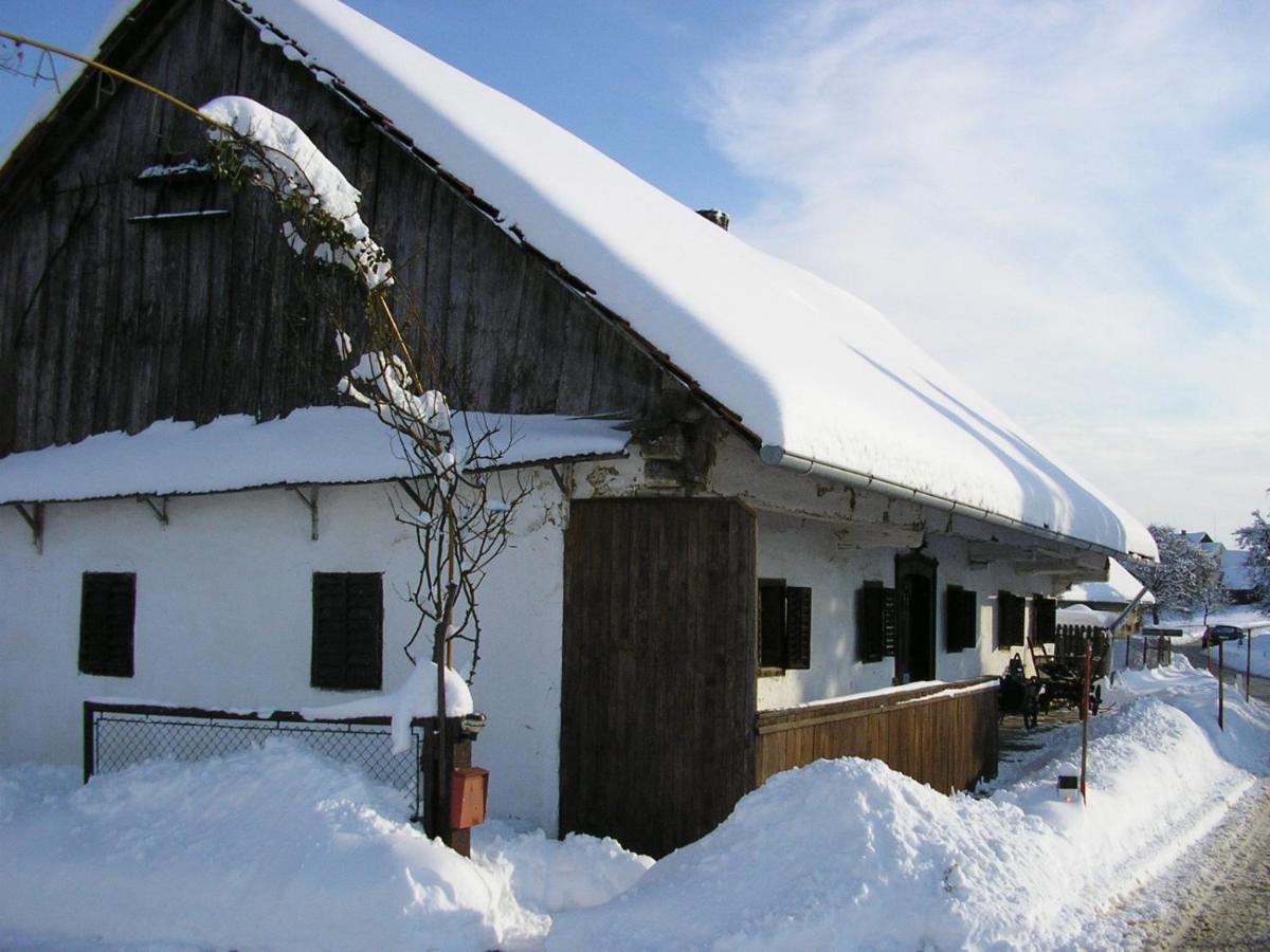 Homestay Kapl Ledinek Exteriér fotografie