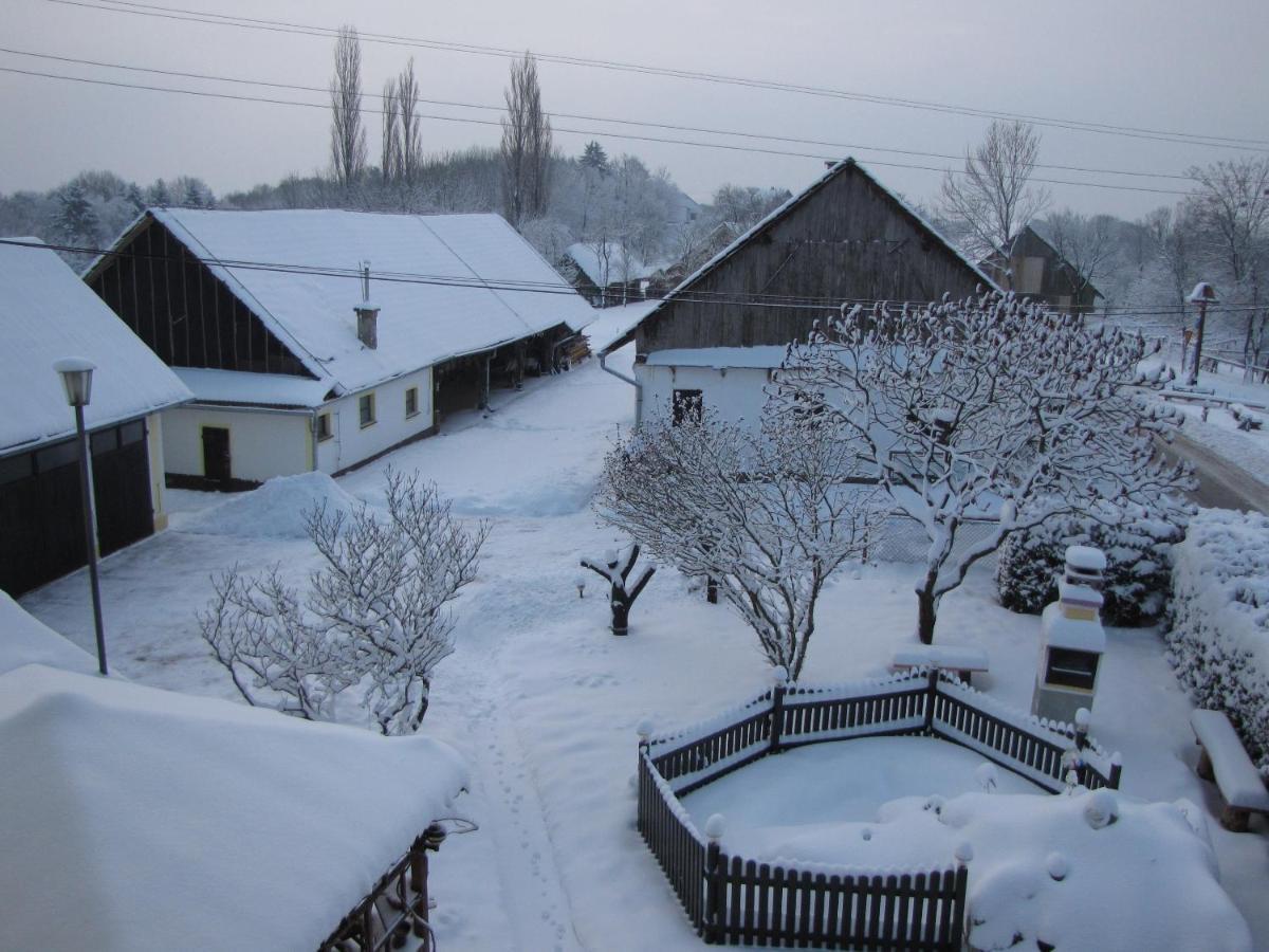 Homestay Kapl Ledinek Exteriér fotografie